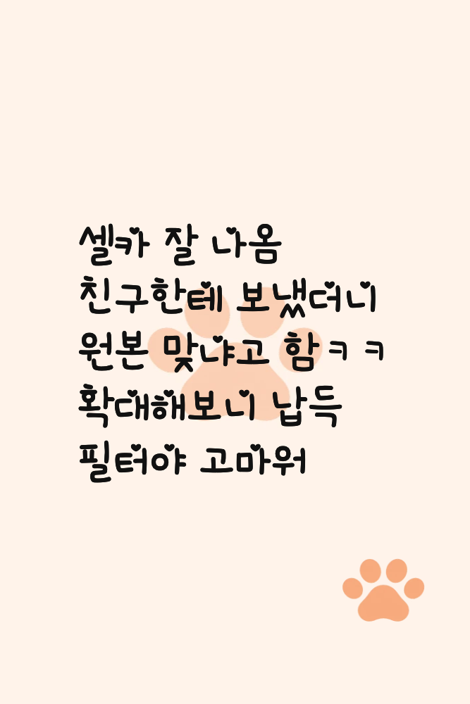 Diary for 2026-10-13